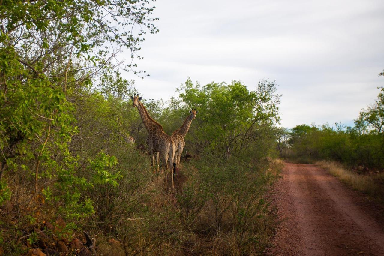 Nungu Game Lodge Lephalale Luaran gambar